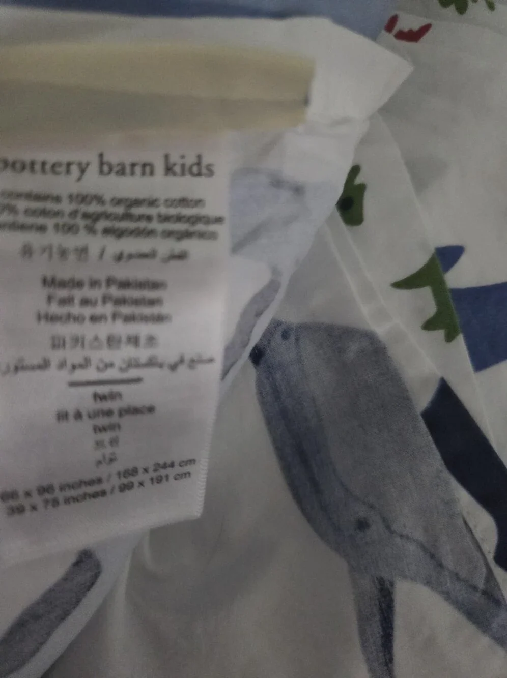 Pottery Barn Kids Shark Print Swim Set - Blue, Navy, White